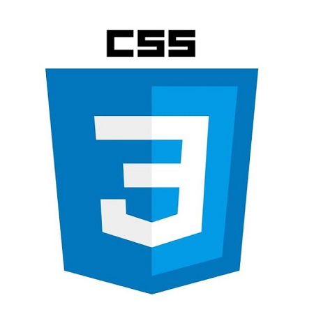 CSS logo